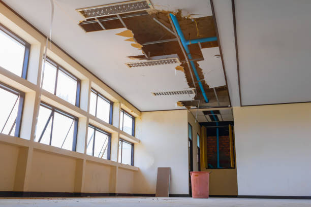 Best Water damage restoration near me  in Grandville, MI