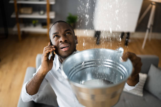 Best Water damage restoration near me  in Grandville, MI