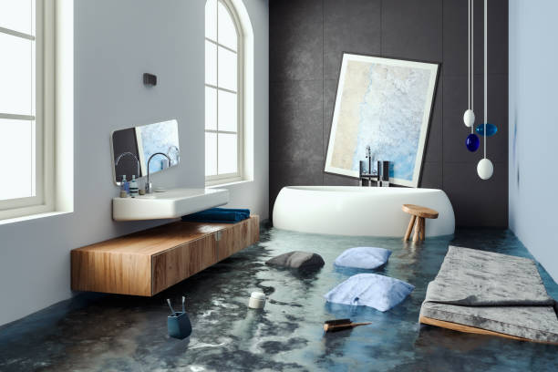 Best Mold removal after water damage  in Grandville, MI
