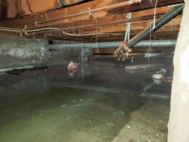 Best Water damage restoration near me  in Grandville, MI