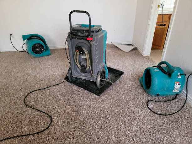Best Basement water damage restoration  in Grandville, MI