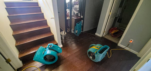 Best Water damage restoration insurance claims  in Grandville, MI