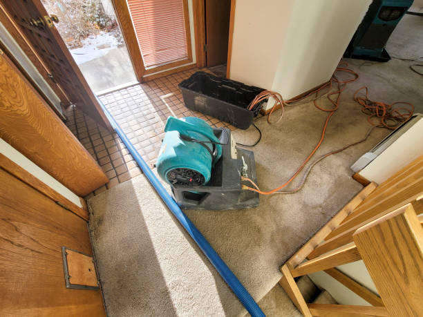 Trusted Grandville, MI Water damage restoration Experts