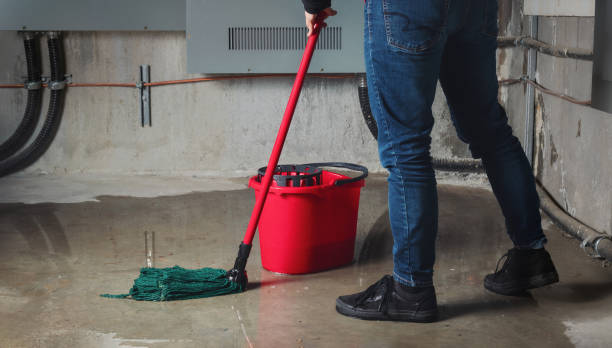Best Flood restoration services  in Grandville, MI