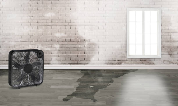 Best Water damage restoration process  in Grandville, MI