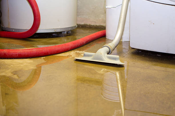 Best Basement water damage restoration  in Grandville, MI