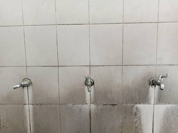 Best Flooded house restoration  in Grandville, MI
