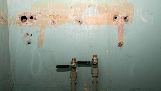 Best 24/7 water damage repair  in Grandville, MI