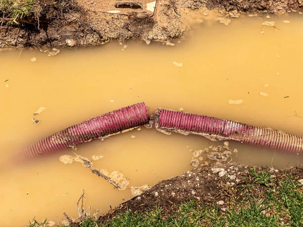 Best Water damage contractors near me  in Grandville, MI