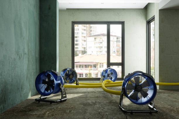 Best Water damage cleanup near me  in Grandville, MI